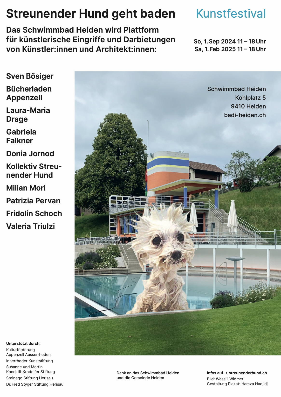 Streunender Hund geht baden, Kunstfestival